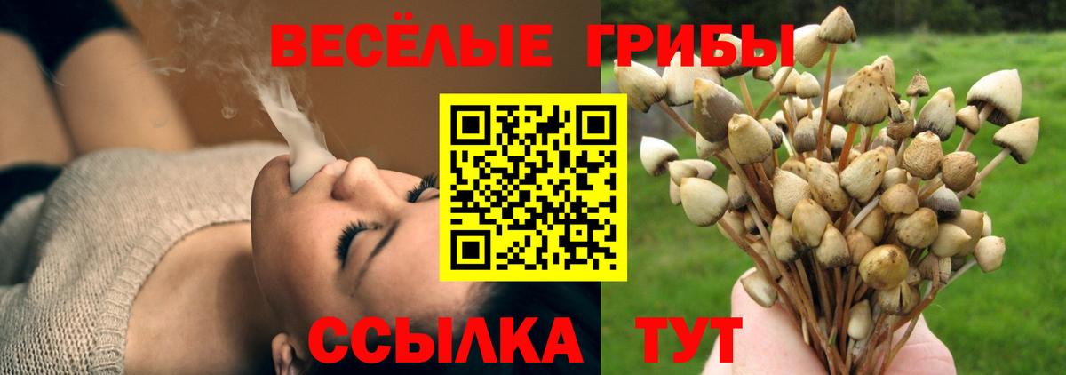 Галлюциногенные грибы Magic Shrooms Воронеж
